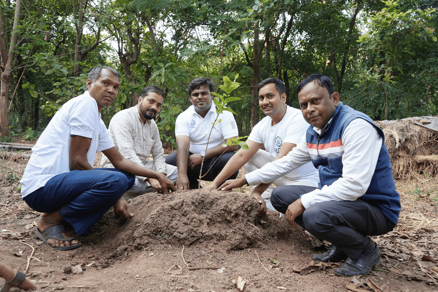 Afforestation and reforestation