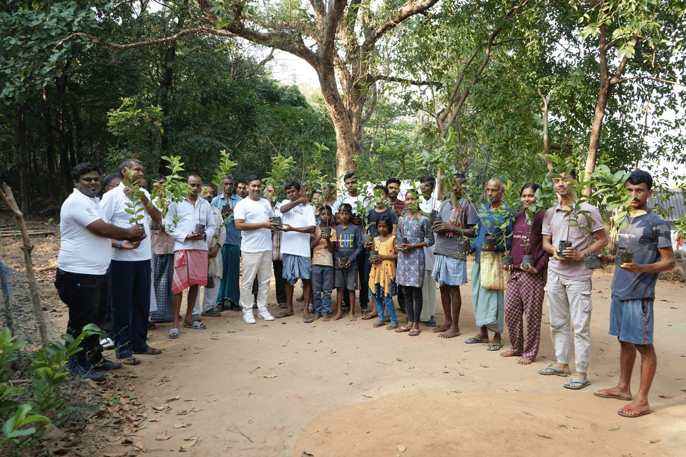 Agroforestry