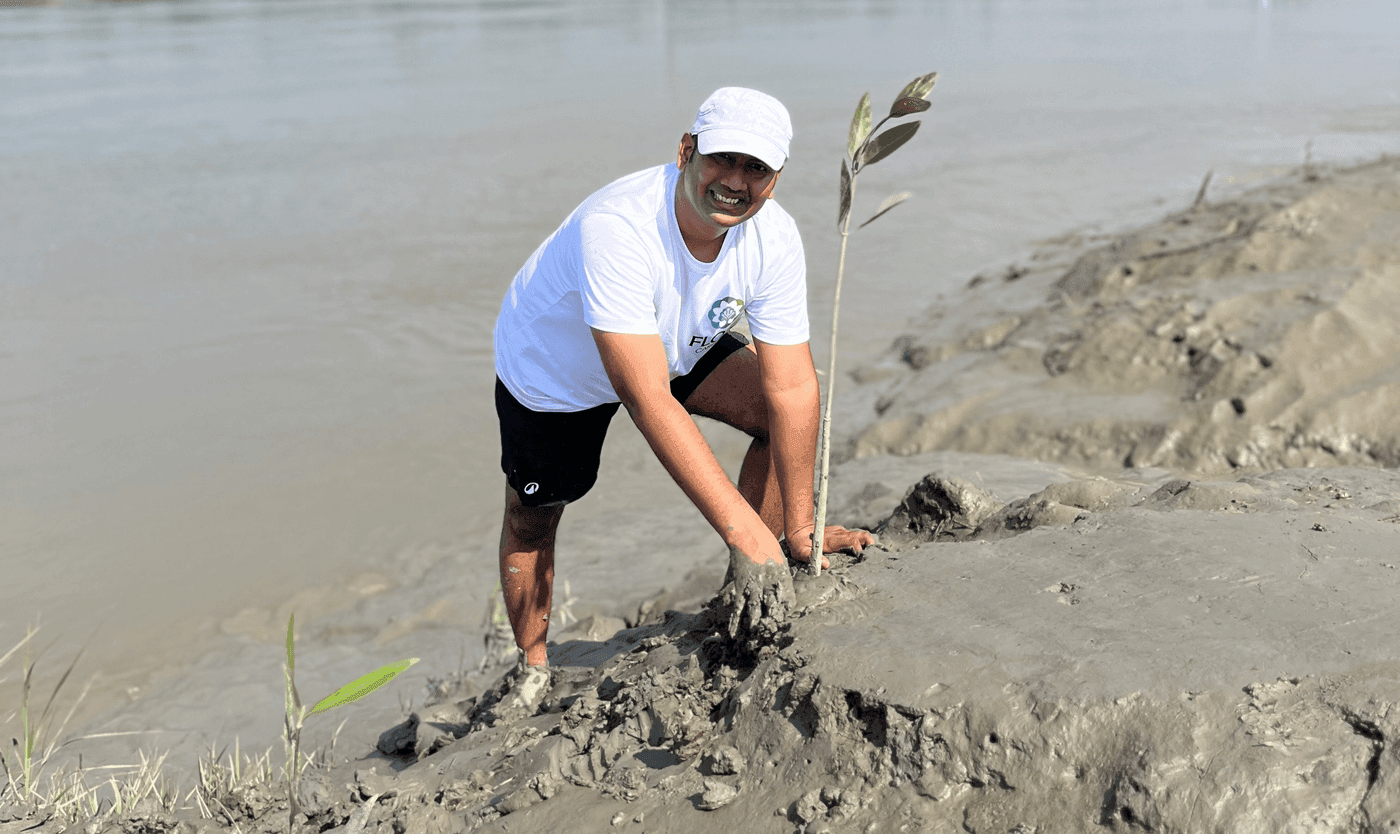 Mangrove reforestation